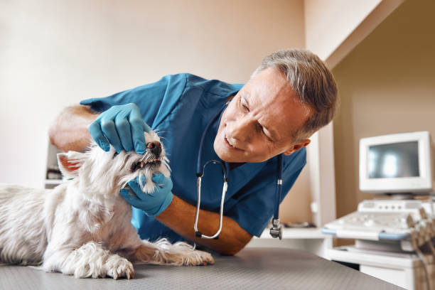 Best Emergency Root Canal Treatment in Gladstone, MO